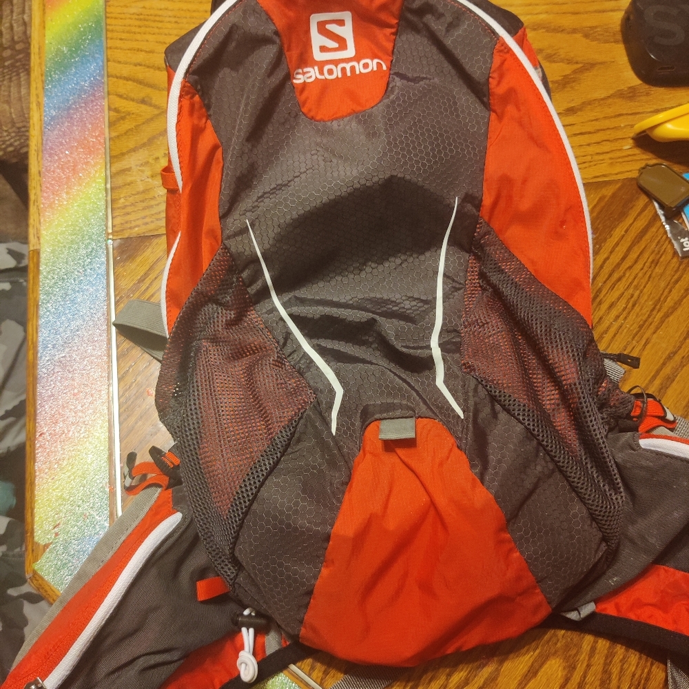 Salomon agile 17